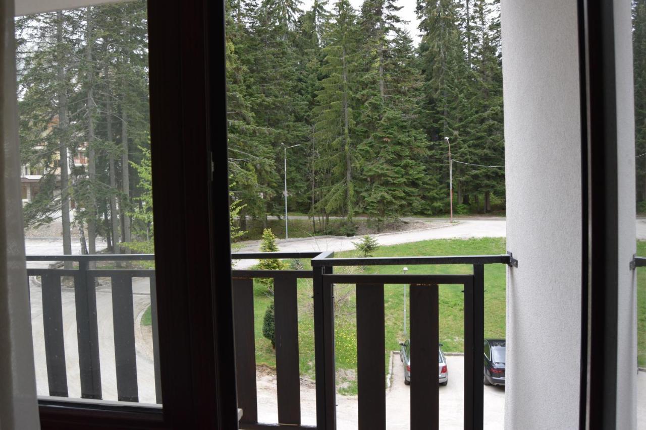 Borovets Holiday Apartments - Different Locations In ボロヴェッツ エクステリア 写真