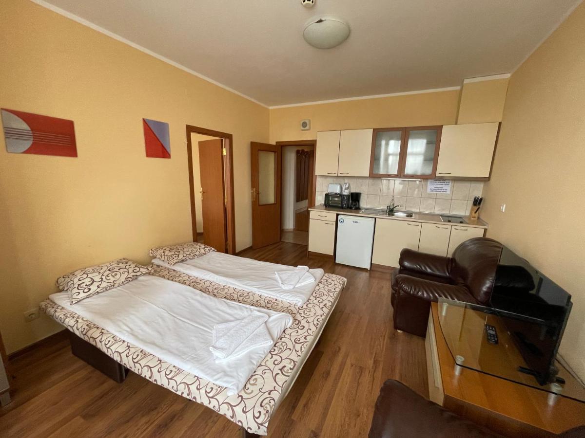Borovets Holiday Apartments - Different Locations In ボロヴェッツ エクステリア 写真