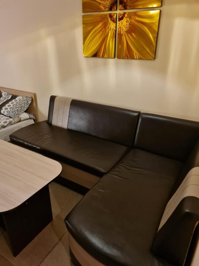 Borovets Holiday Apartments - Different Locations In ボロヴェッツ エクステリア 写真