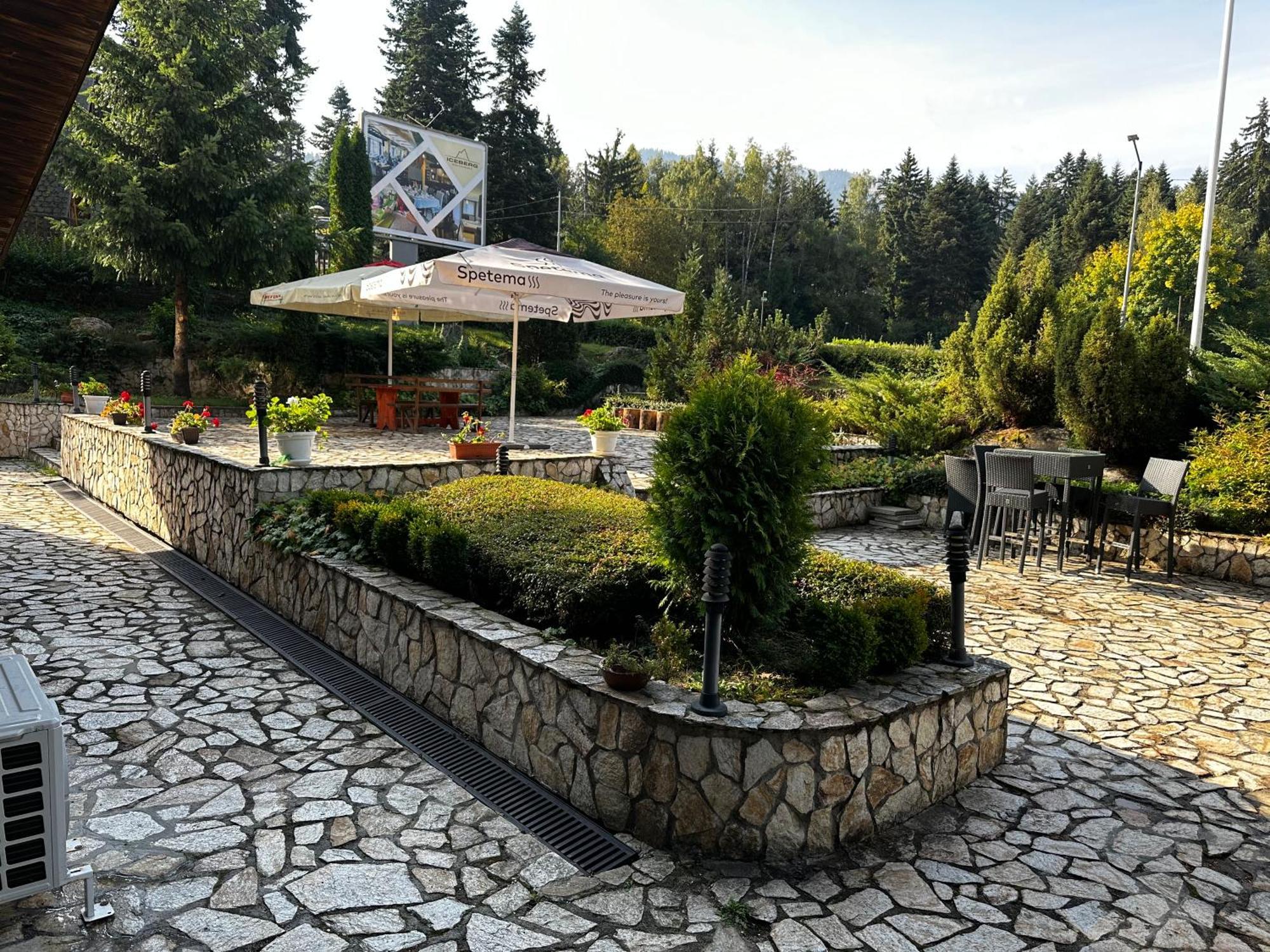 Borovets Holiday Apartments - Different Locations In ボロヴェッツ エクステリア 写真